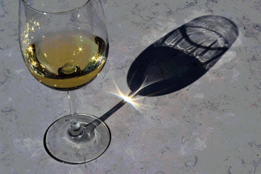 Wine Glass in the Sun